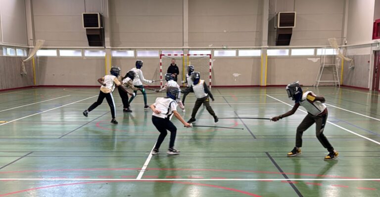 Journées multisport à Sartrouville